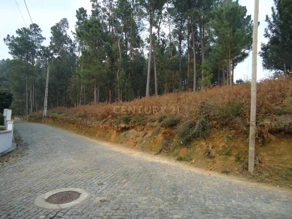 Terreno  construção com 899m2 em Alheira  - Barcelos - Image 9