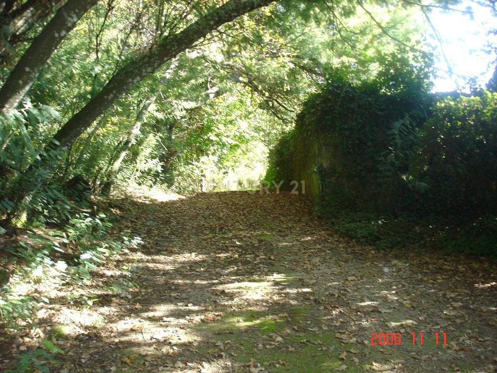 Quinta de charme em Mancelos, Amarante - Image 15