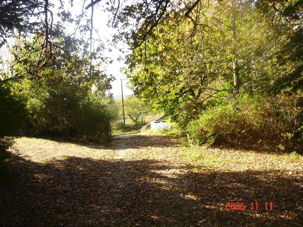 Quinta de charme em Mancelos, Amarante - Image 19
