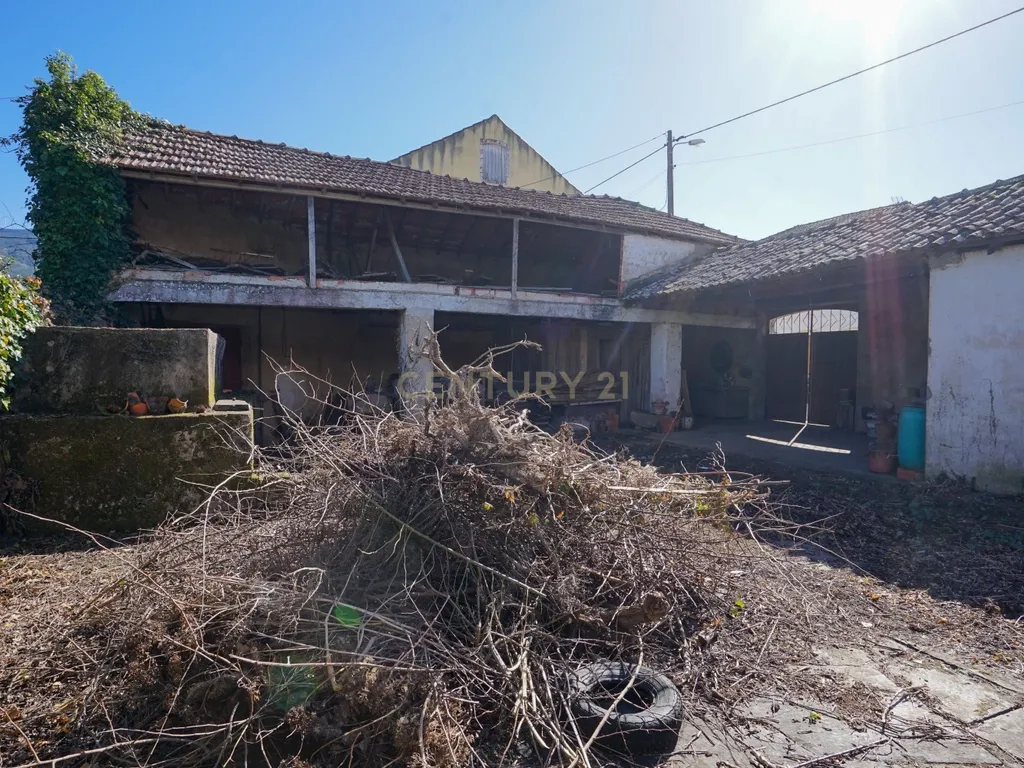 Quinta com lagar, telheiro, pátio, arrumos, terreno e poço numa localização excecional a 5 min. do centro da Lousã - Image 9