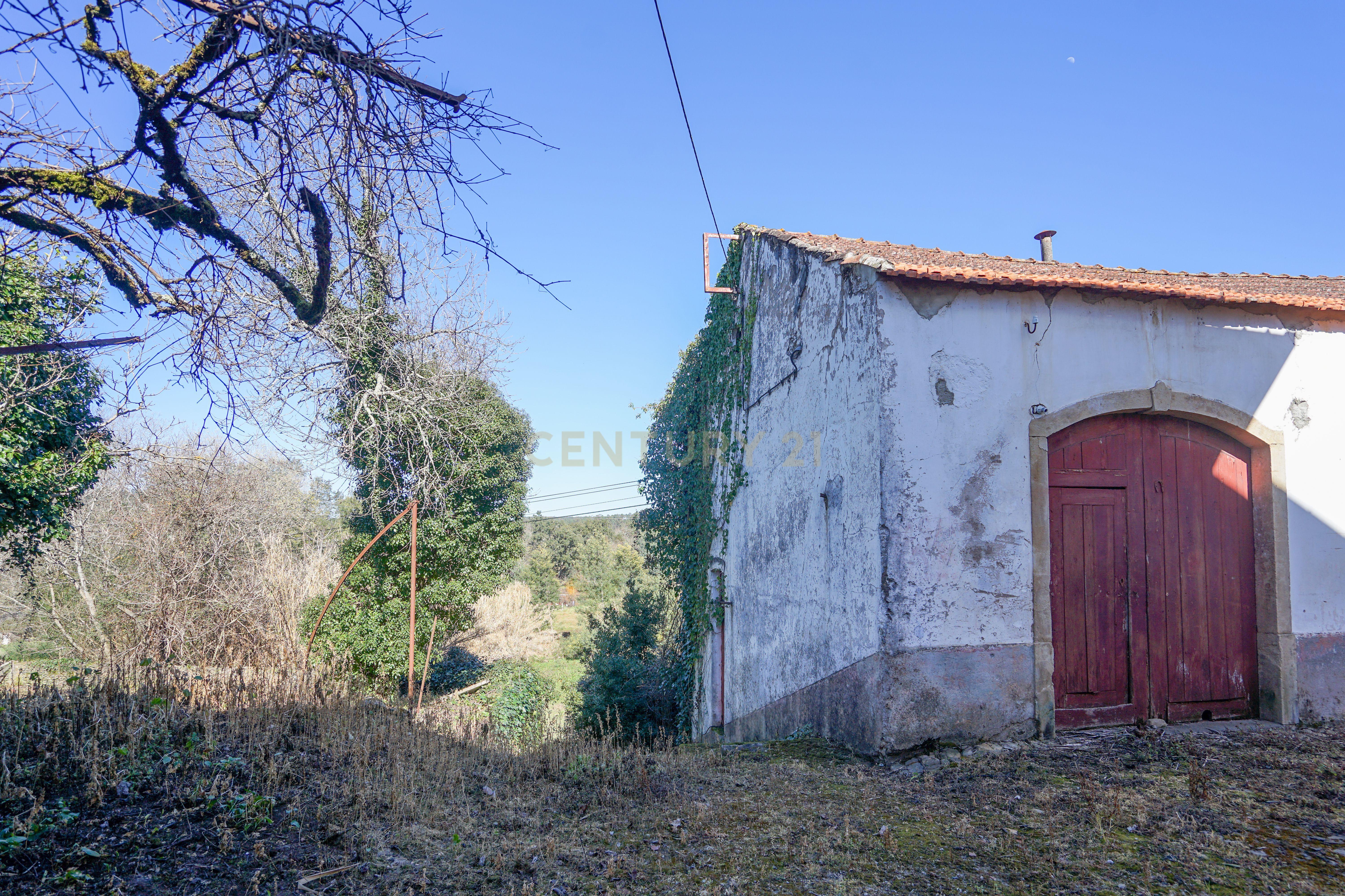 Quinta com lagar, telheiro, pátio, arrumos, terreno e poço numa localização excecional a 5 min. do centro da Lousã - Image 14