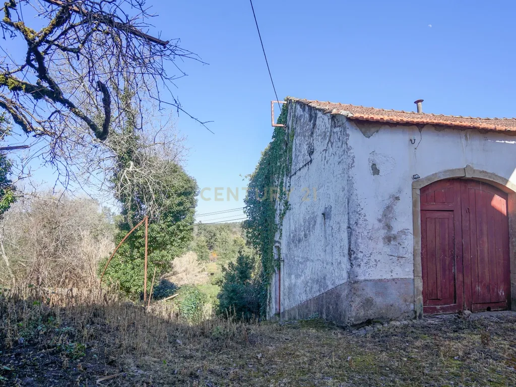 Quinta com lagar, telheiro, pátio, arrumos, terreno e poço numa localização excecional a 5 min. do centro da Lousã - Image 14