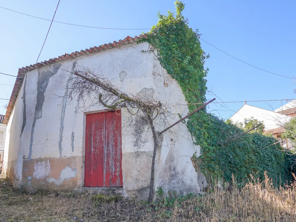 Quinta com lagar, telheiro, pátio, arrumos, terreno e poço numa localização excecional a 5 min. do centro da Lousã - Image 15