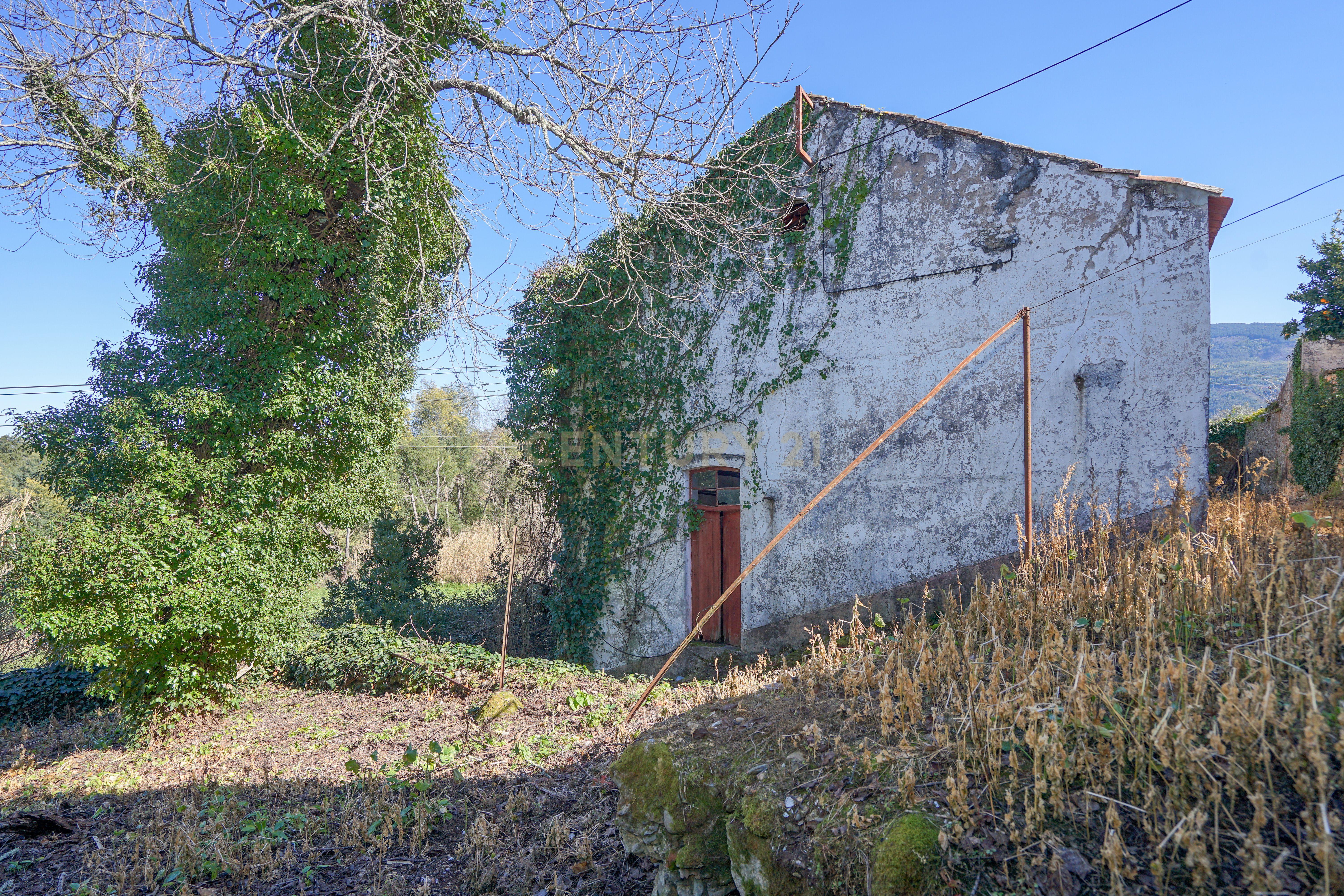 Quinta com lagar, telheiro, pátio, arrumos, terreno e poço numa localização excecional a 5 min. do centro da Lousã - Image 16