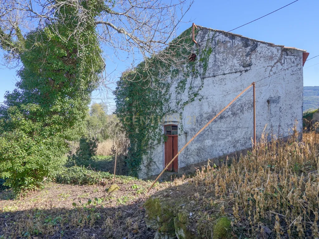 Quinta com lagar, telheiro, pátio, arrumos, terreno e poço numa localização excecional a 5 min. do centro da Lousã - Image 16