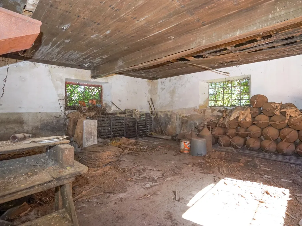 Quinta com lagar, telheiro, pátio, arrumos, terreno e poço numa localização excecional a 5 min. do centro da Lousã - Image 17