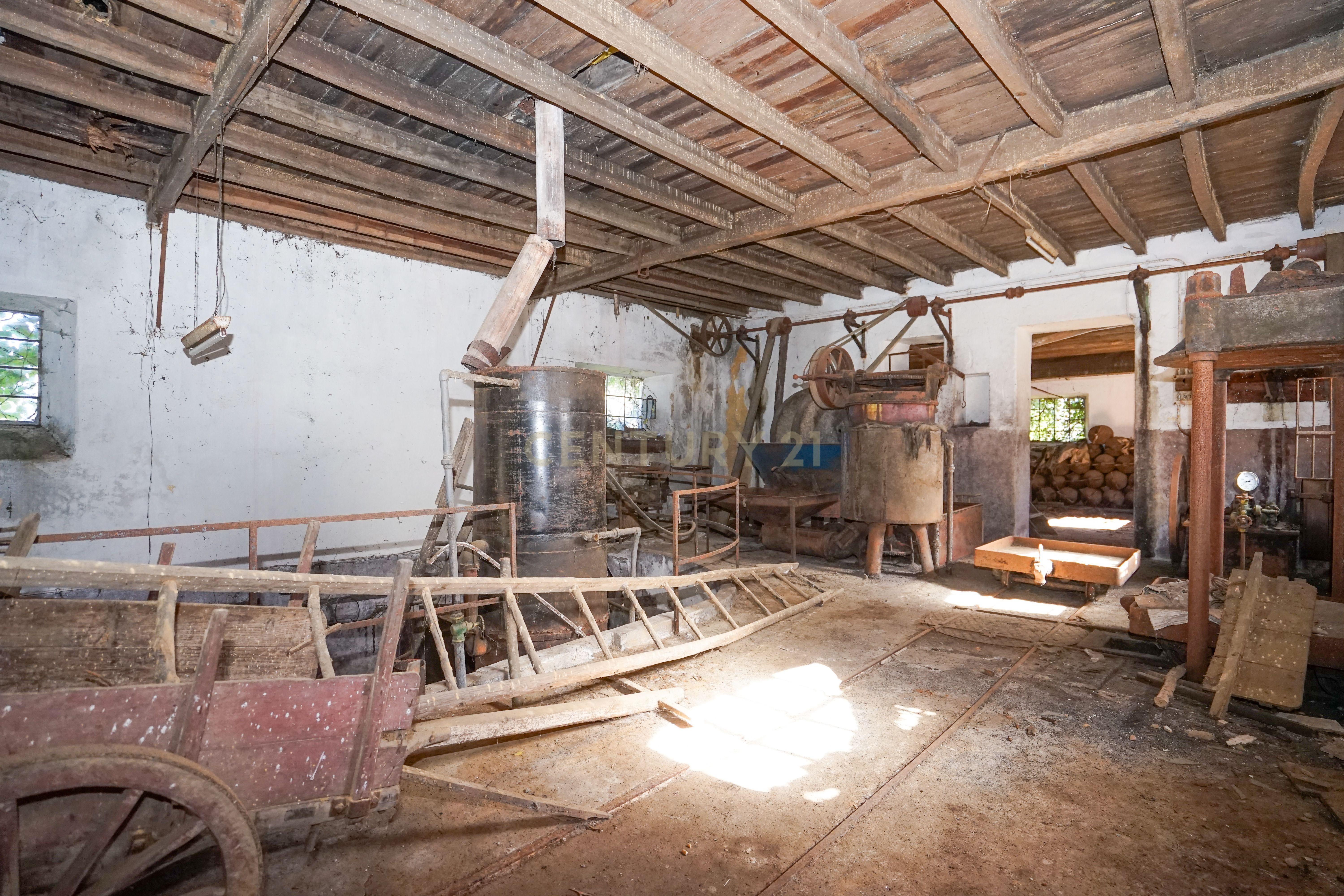 Quinta com lagar, telheiro, pátio, arrumos, terreno e poço numa localização excecional a 5 min. do centro da Lousã - Image 23