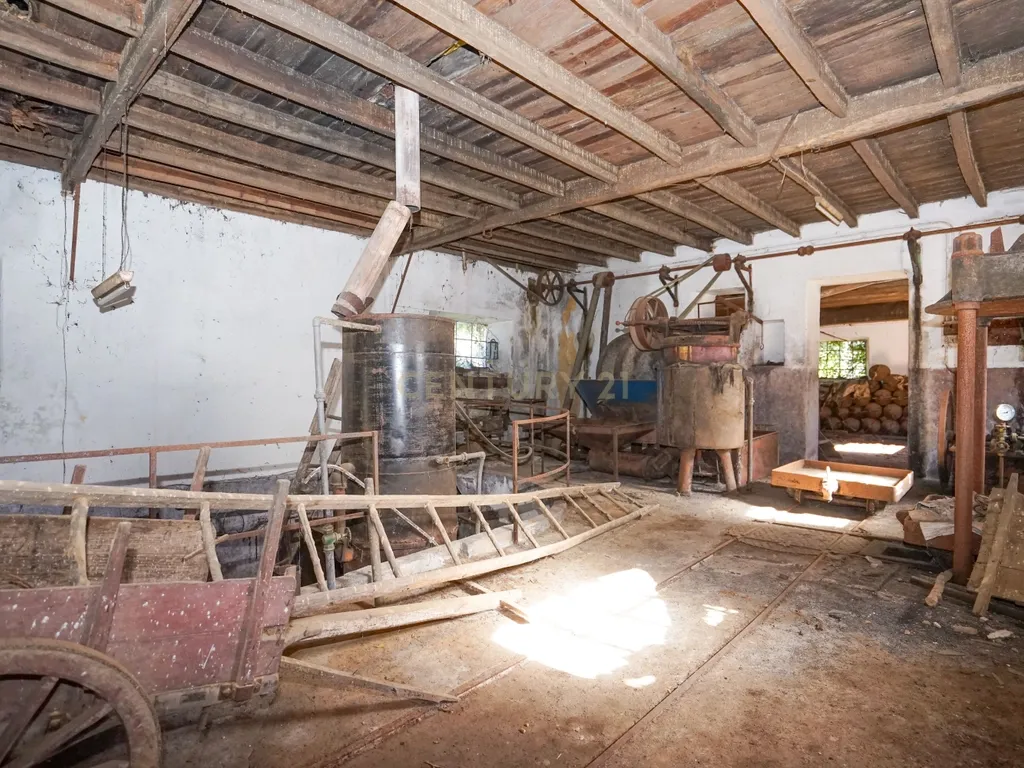 Quinta com lagar, telheiro, pátio, arrumos, terreno e poço numa localização excecional a 5 min. do centro da Lousã - Image 23
