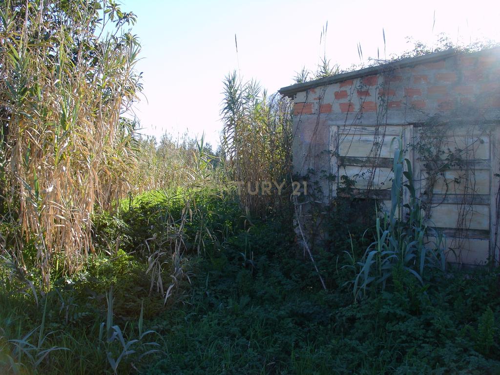 Terreno rústico com possibilidade de construção em Bizorreiro de Lavos, Figueira da Foz - Image 3