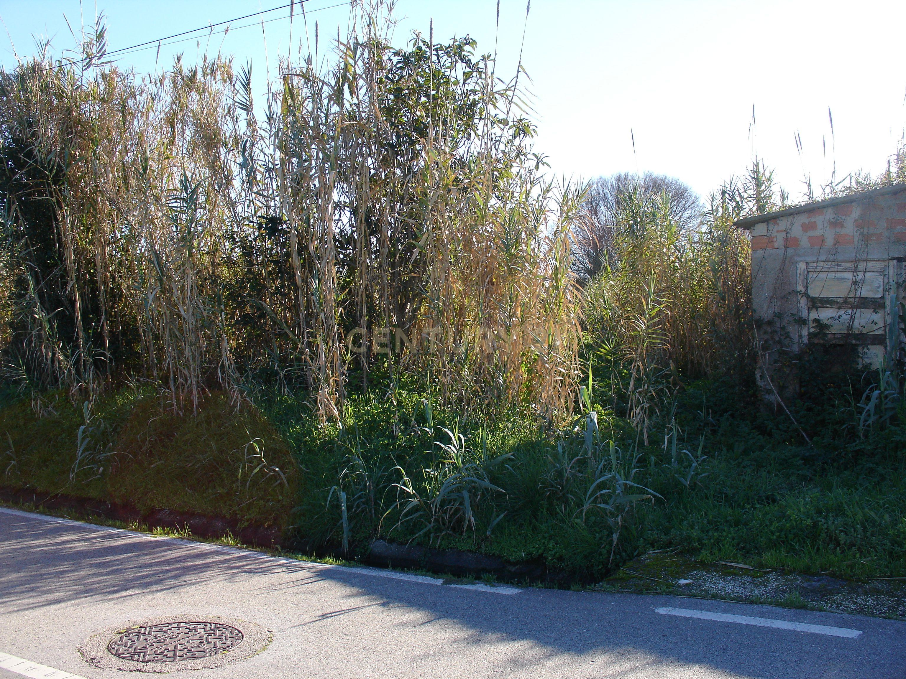 Terreno rústico com possibilidade de construção em Bizorreiro de Lavos, Figueira da Foz - Image 4
