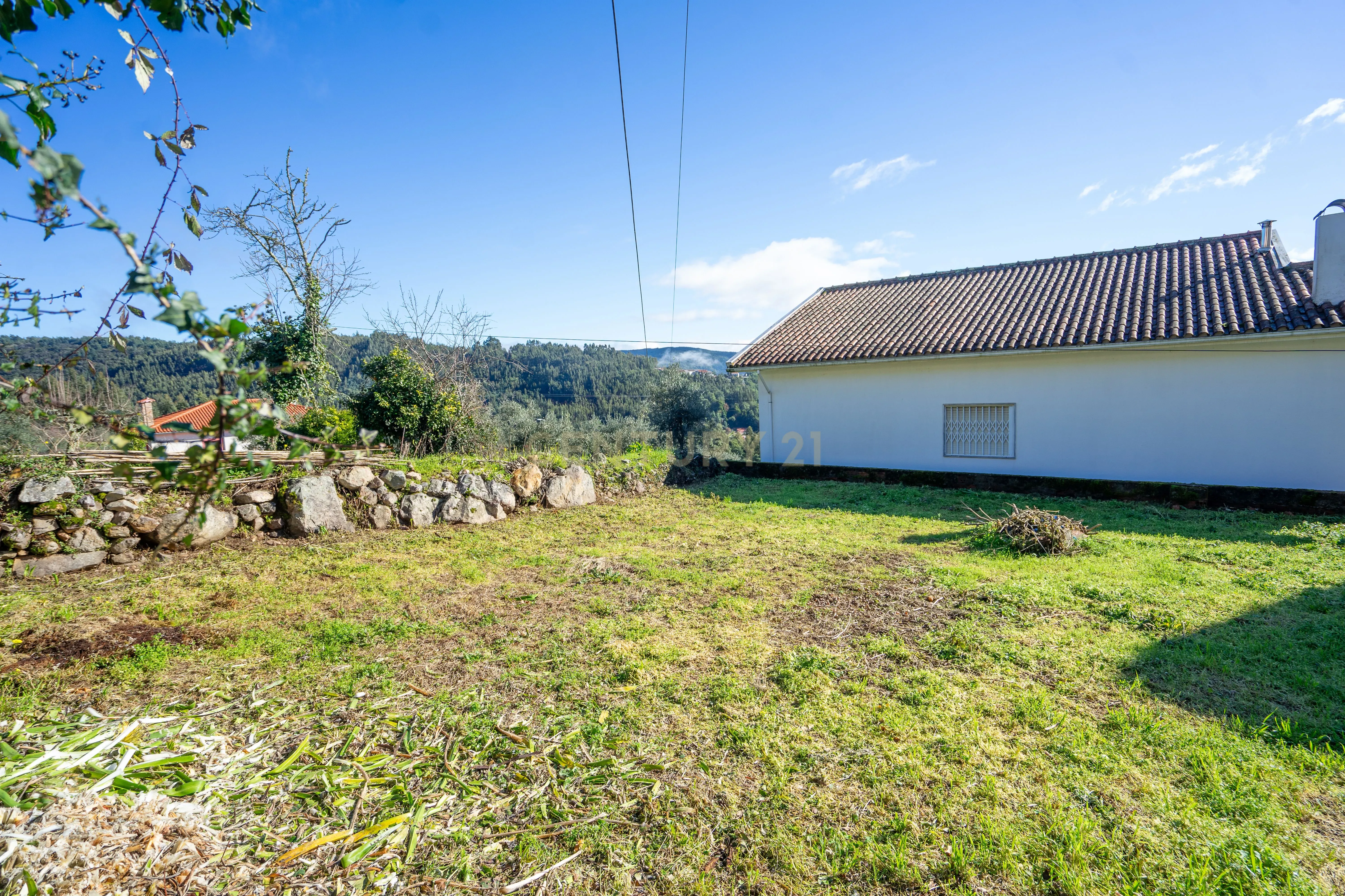 Moradia para reconstruir com Terreno, em Góis - Image 21