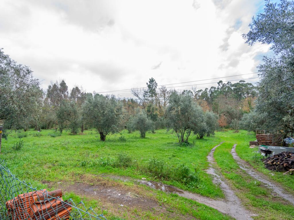 Terreno na Tapada do Tanque, Lousã - Image 4
