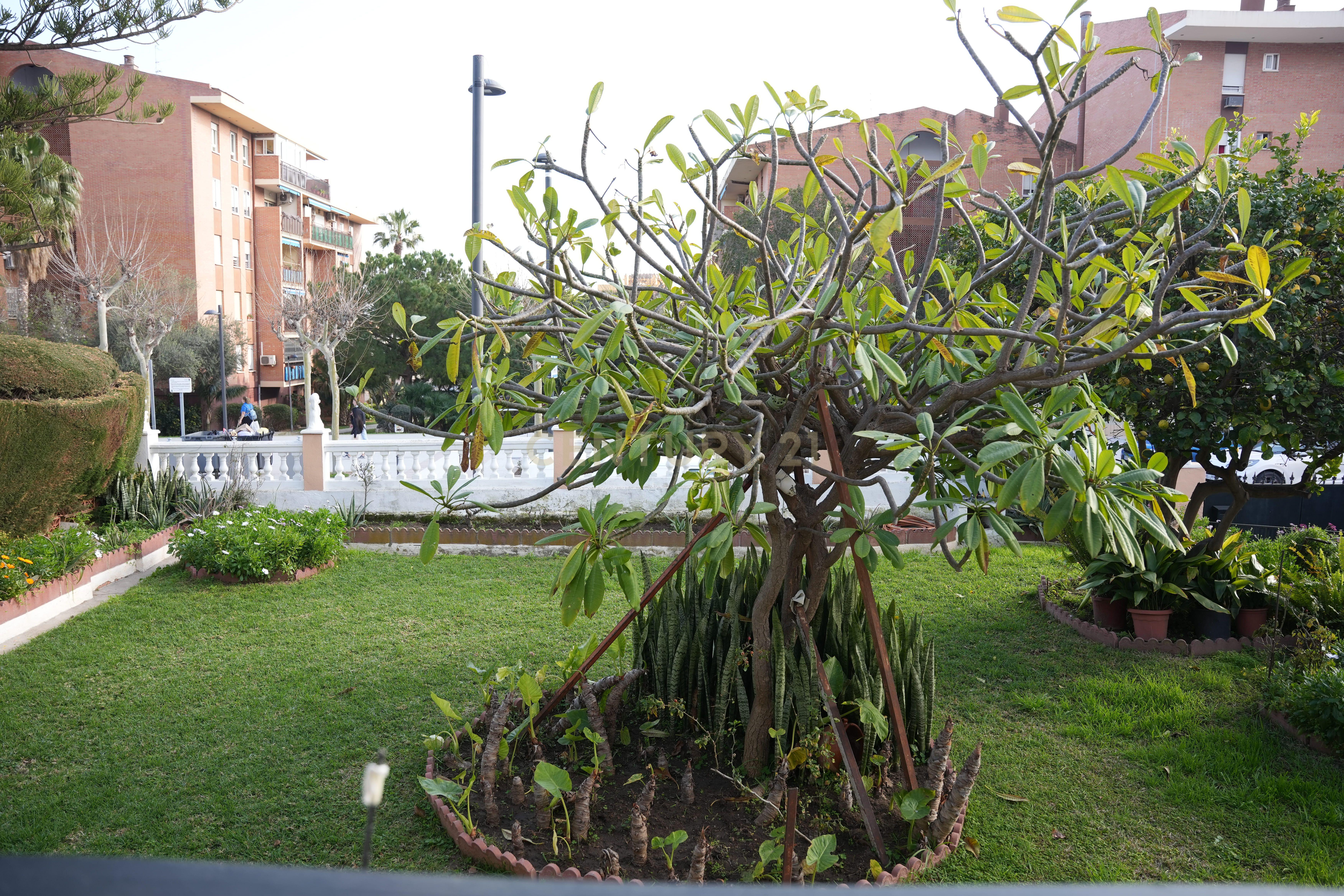undefined - Image 15