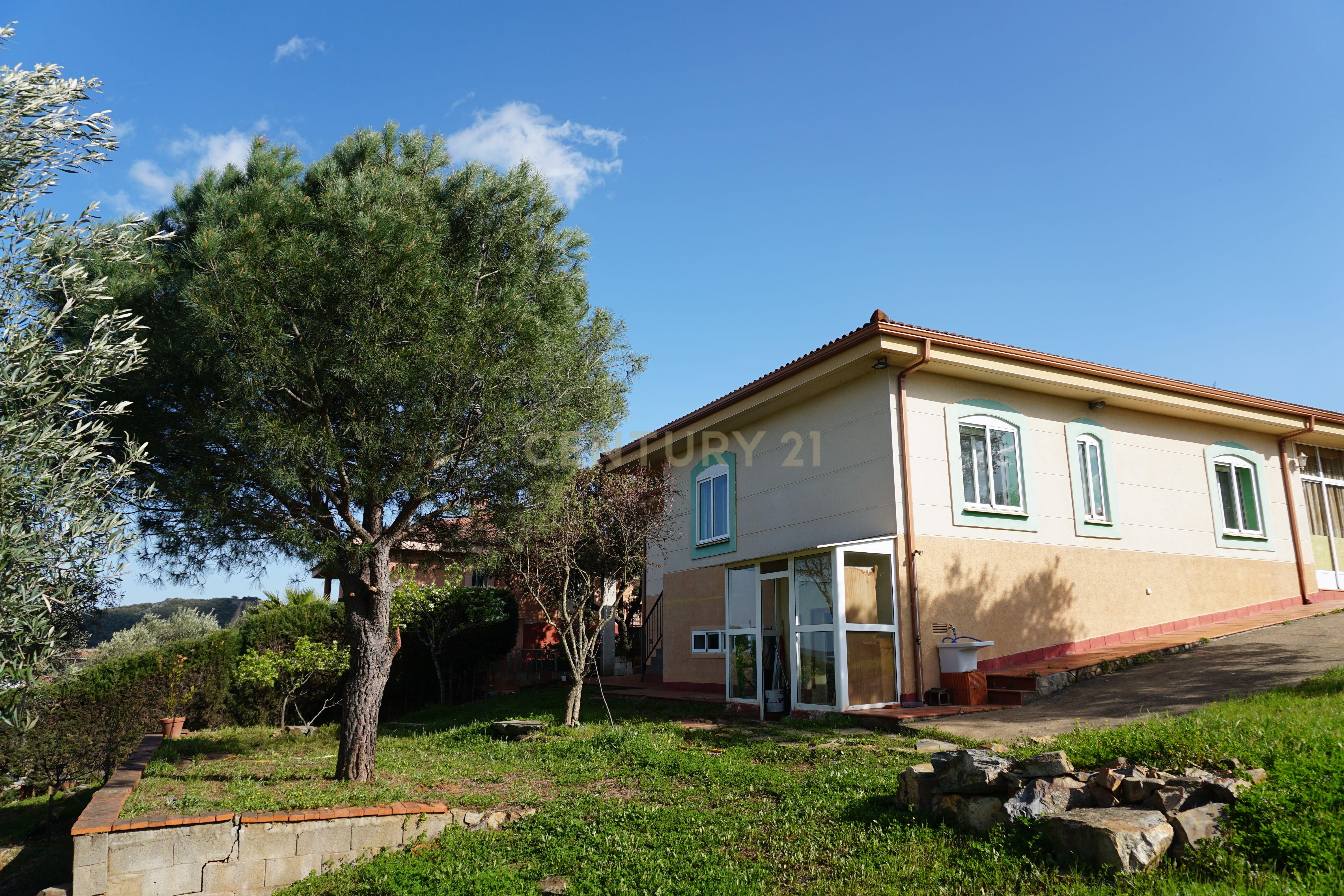 undefined - Image 6