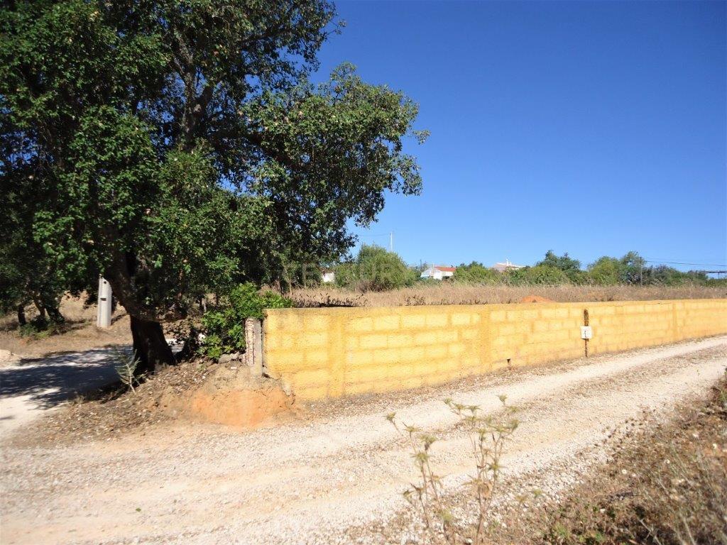 Terreno com ruina em Silves - Image 10