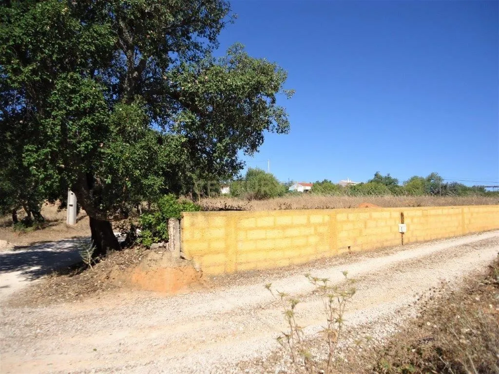 Terreno com ruina em Silves - Image 10