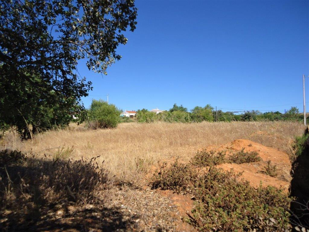 Terreno com ruina em Silves - Image 9