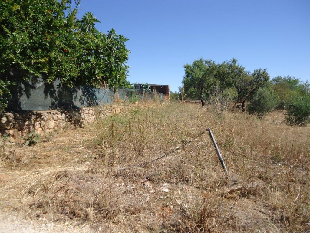 Terreno com ruina em Silves - Image 7