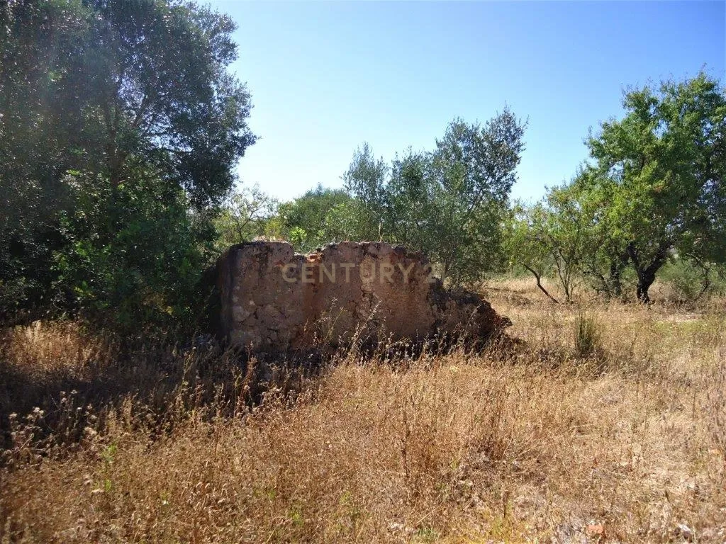 Terreno com ruina em Silves - Image 5