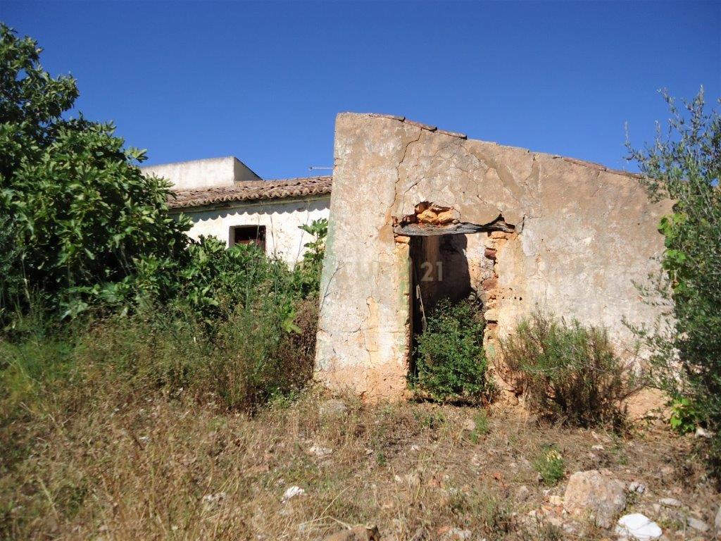 Terreno com ruina em Silves - Image 2