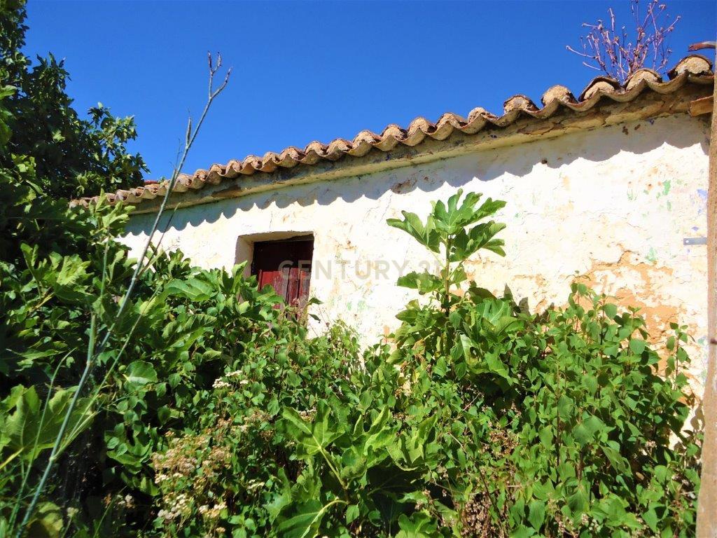 Terreno com ruina em Silves - Image 11