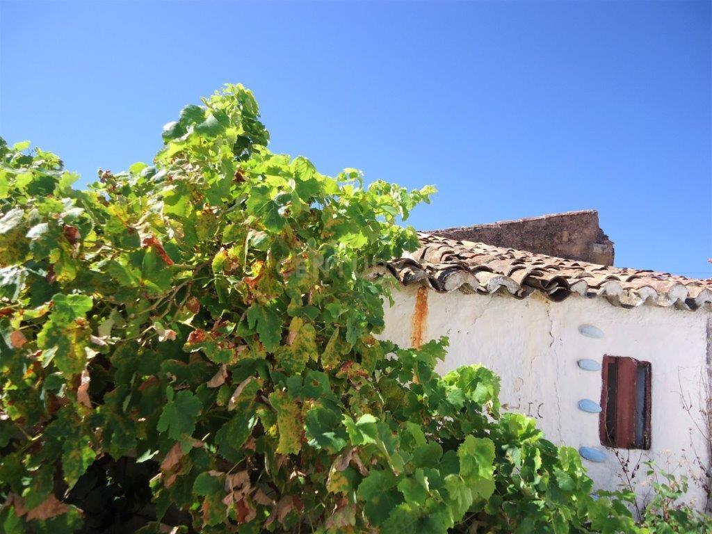Terreno com ruina em Silves - Image 12