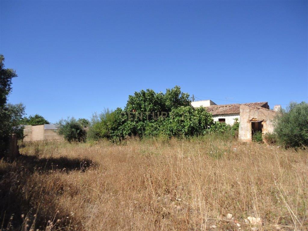 Terreno com ruina em Silves - Image 3