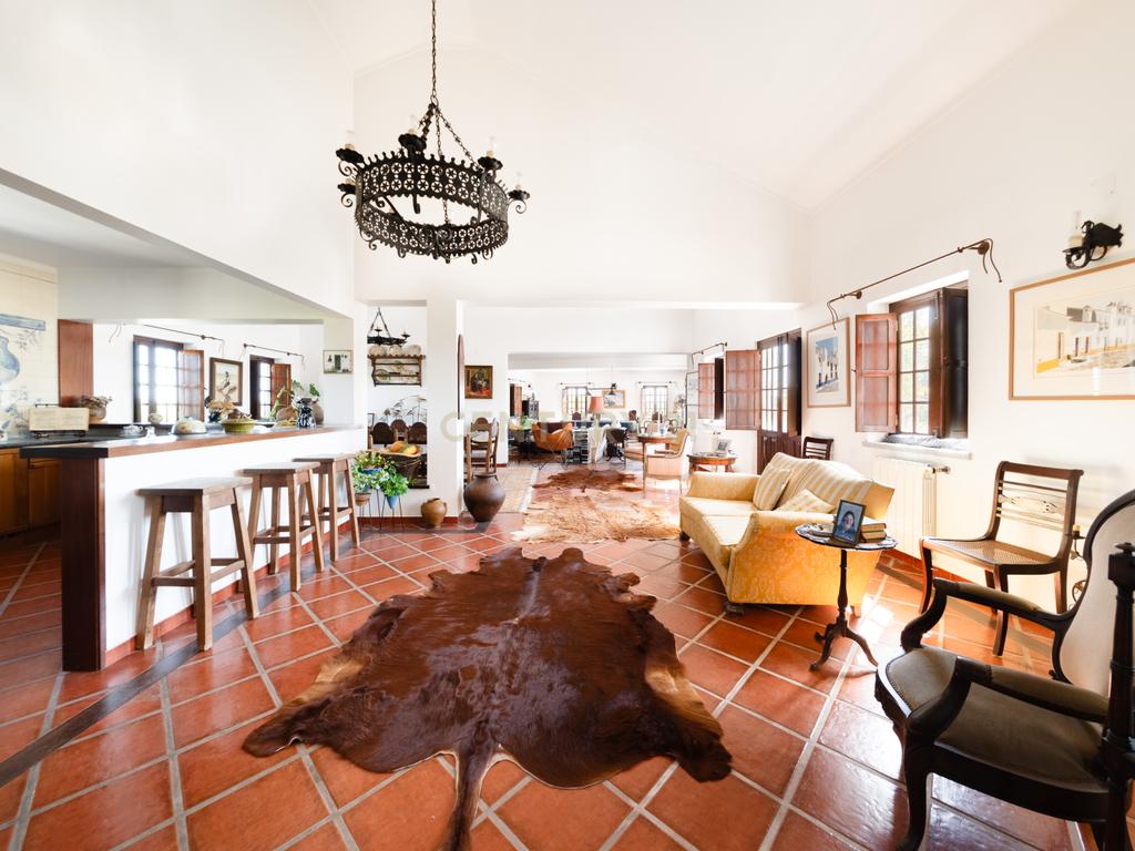 QUINTA EM MONTEMOR-O-NOVO - Image 7