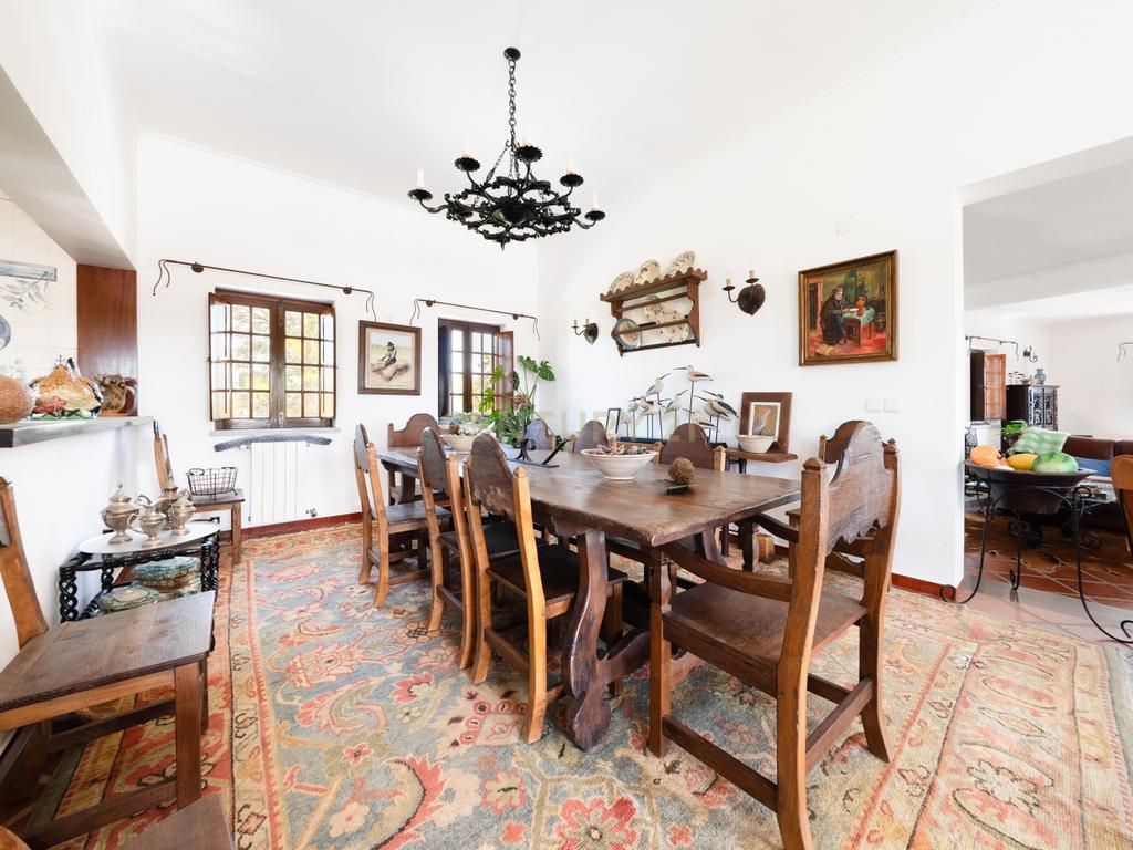QUINTA EM MONTEMOR-O-NOVO - Image 11