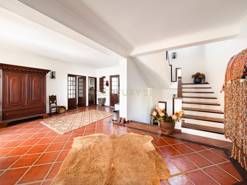 QUINTA EM MONTEMOR-O-NOVO - Image 18