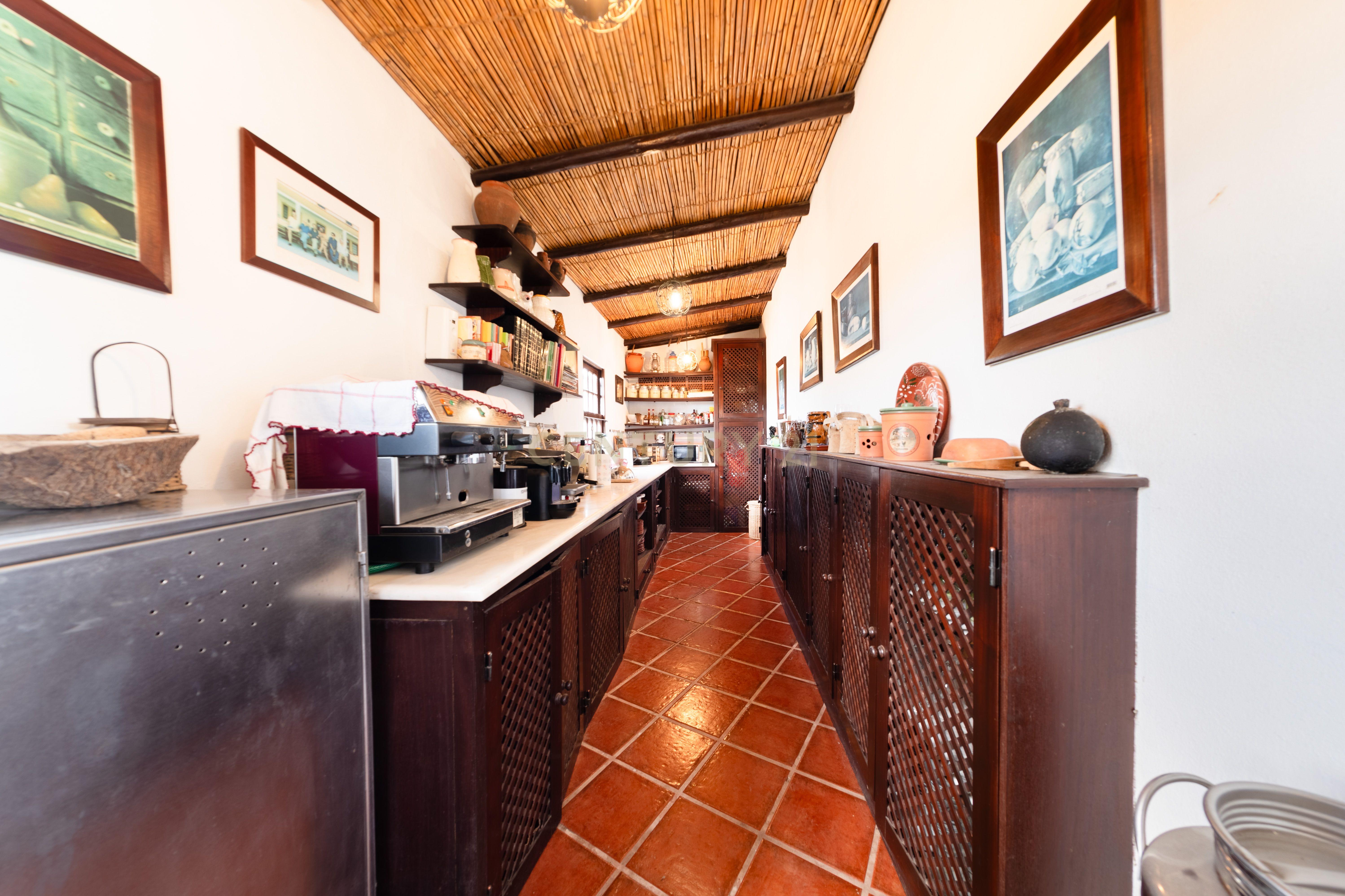 QUINTA EM MONTEMOR-O-NOVO - Image 53