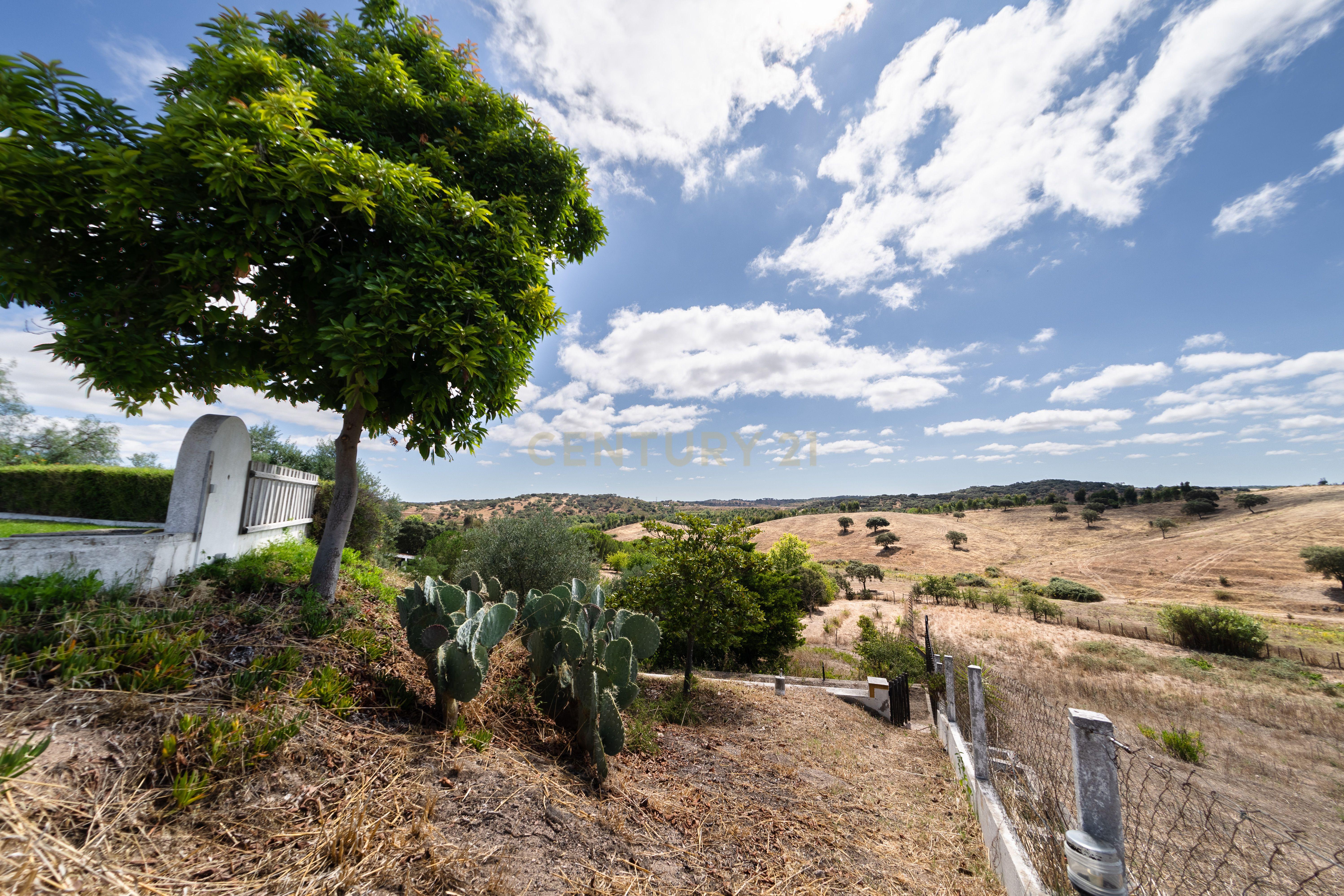 QUINTA EM MONTEMOR-O-NOVO - Image 51
