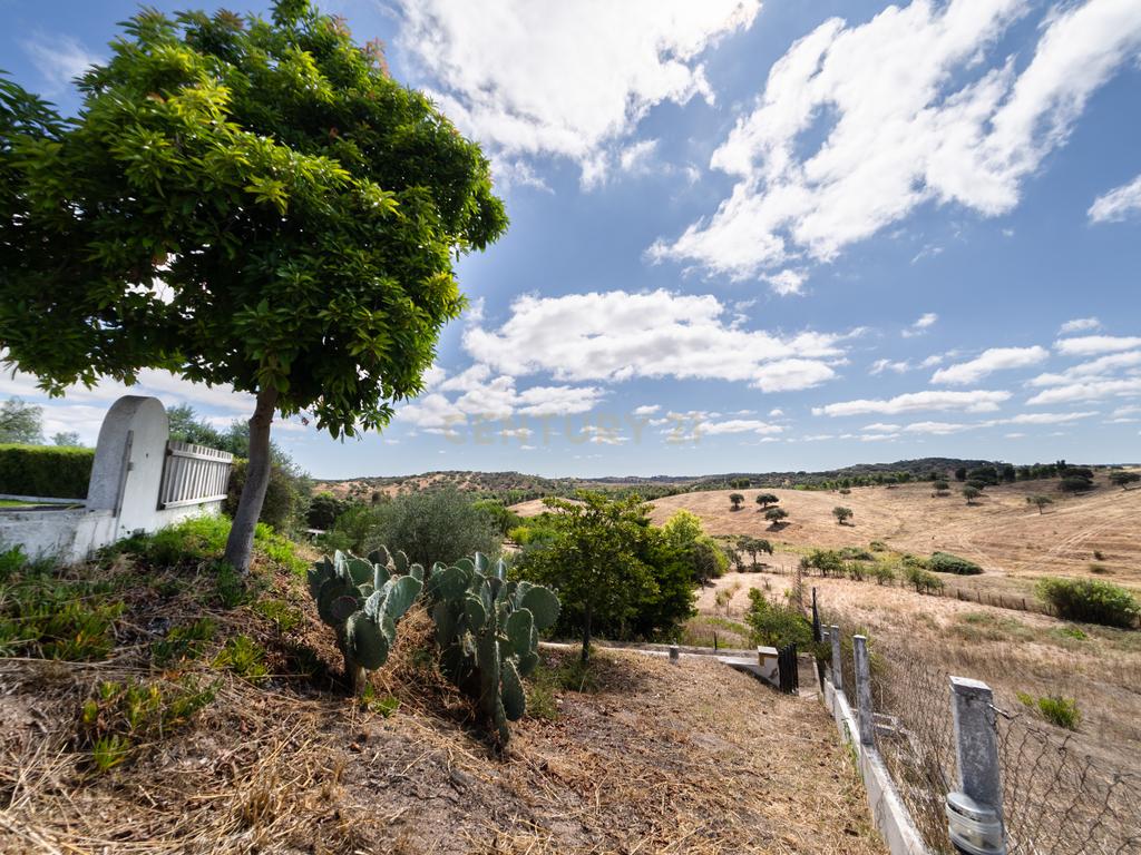 QUINTA EM MONTEMOR-O-NOVO - Image 51