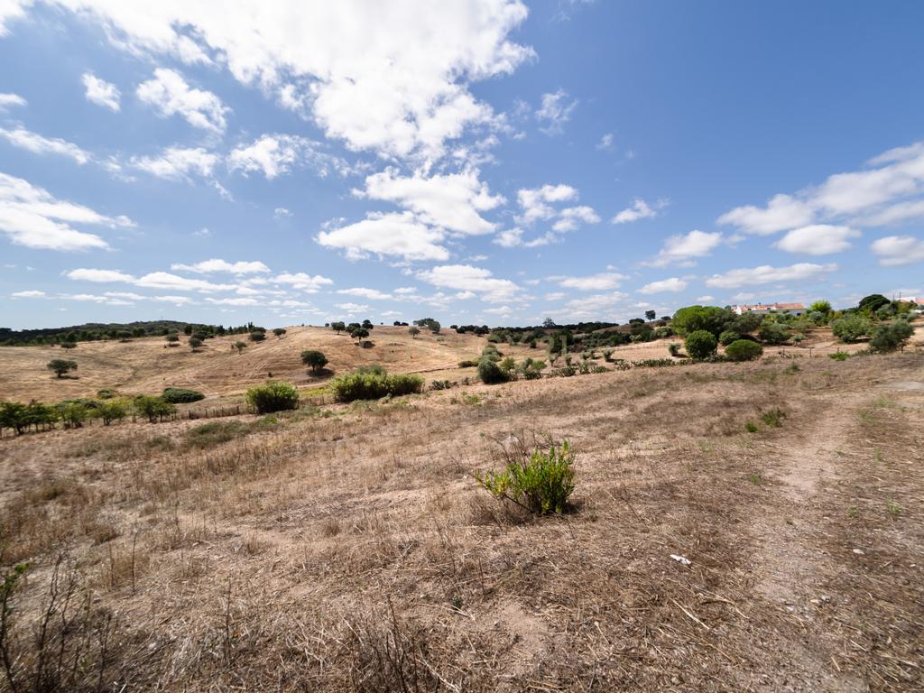 QUINTA EM MONTEMOR-O-NOVO - Image 52