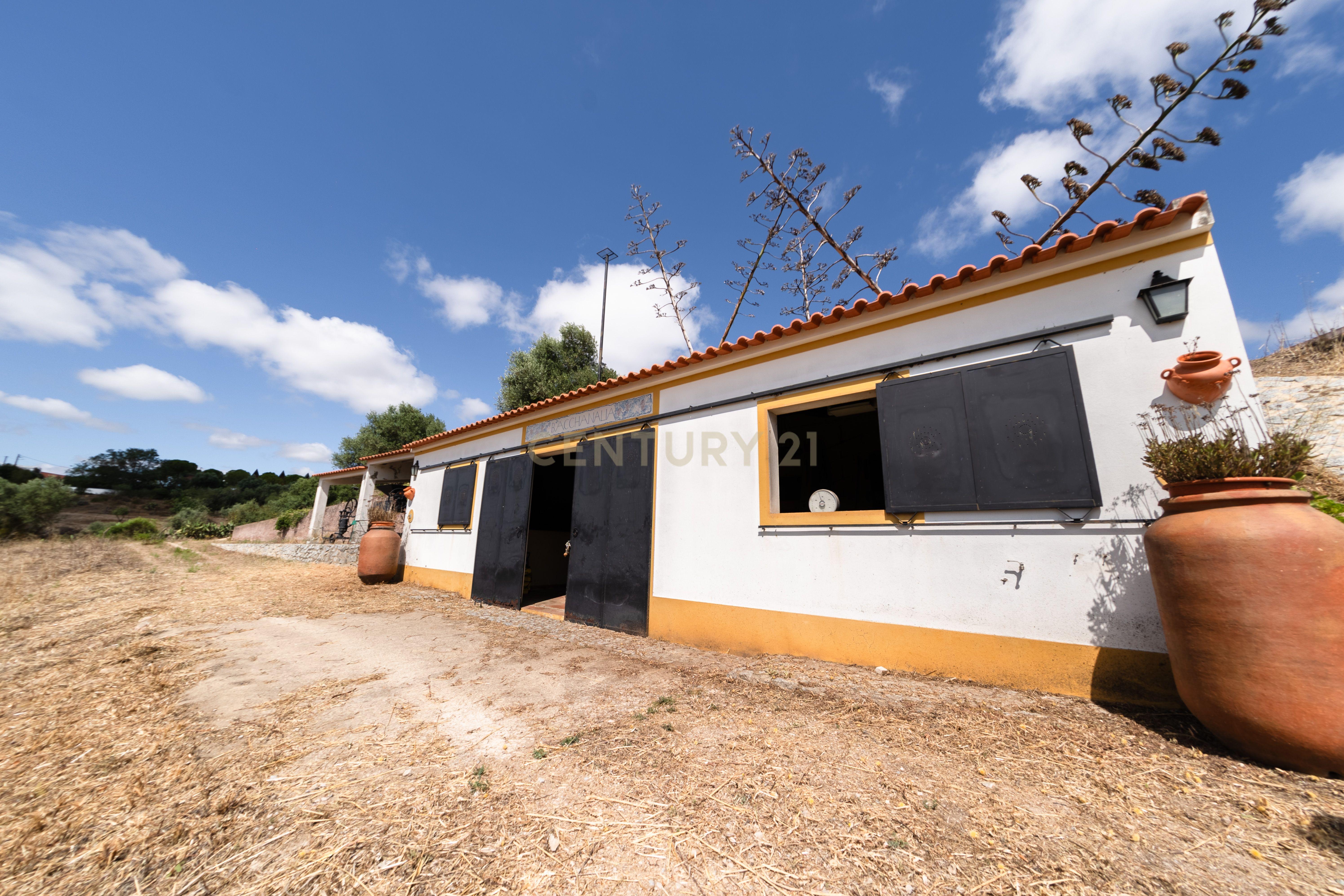 QUINTA EM MONTEMOR-O-NOVO - Image 57