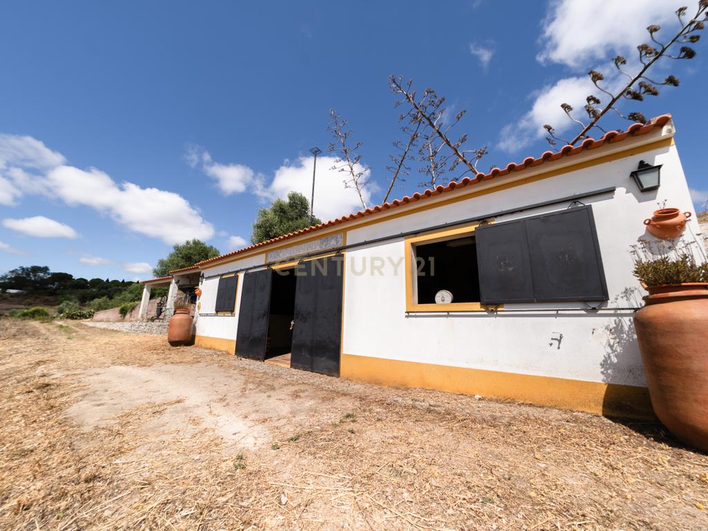 QUINTA EM MONTEMOR-O-NOVO - Image 57