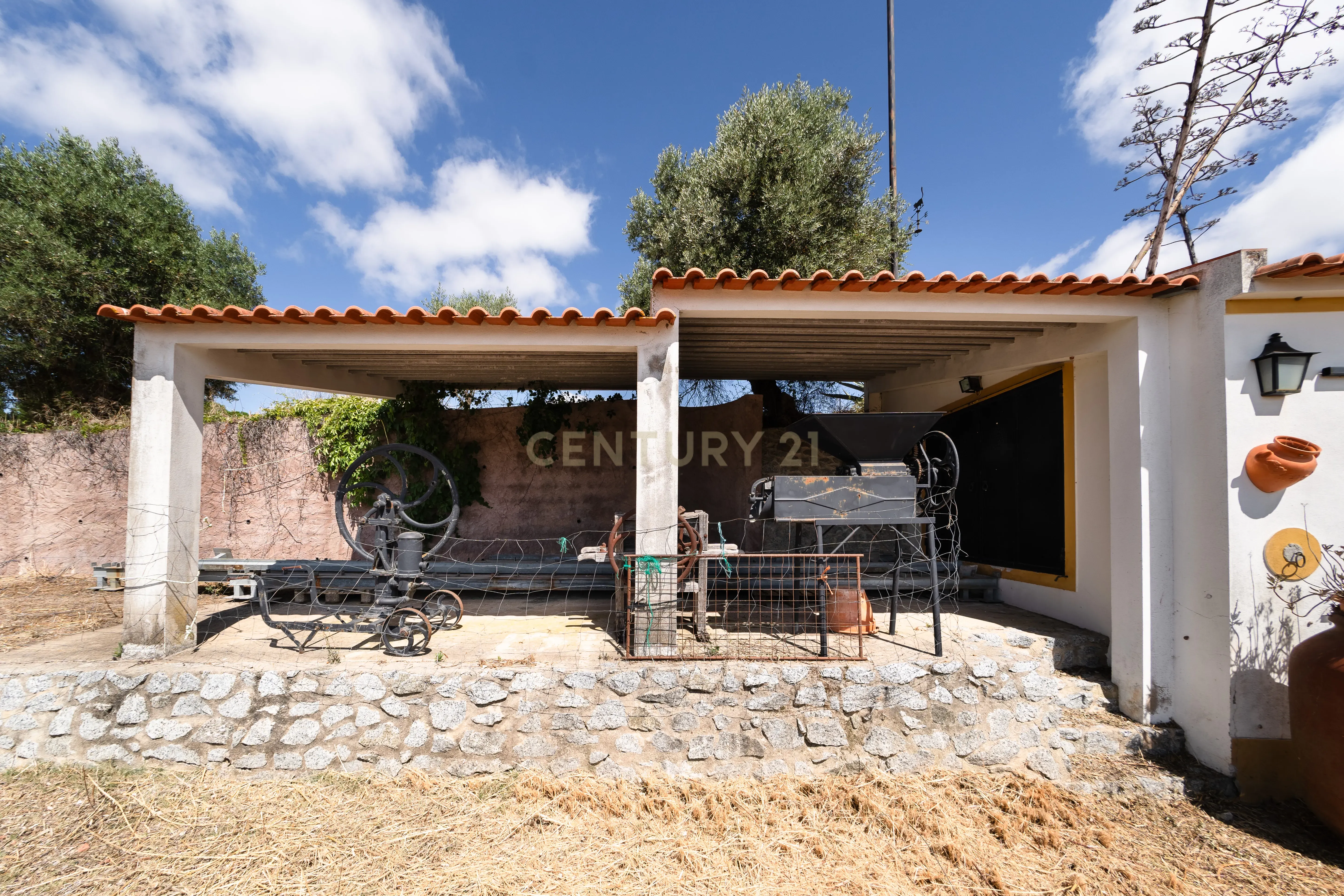 QUINTA EM MONTEMOR-O-NOVO - Image 56