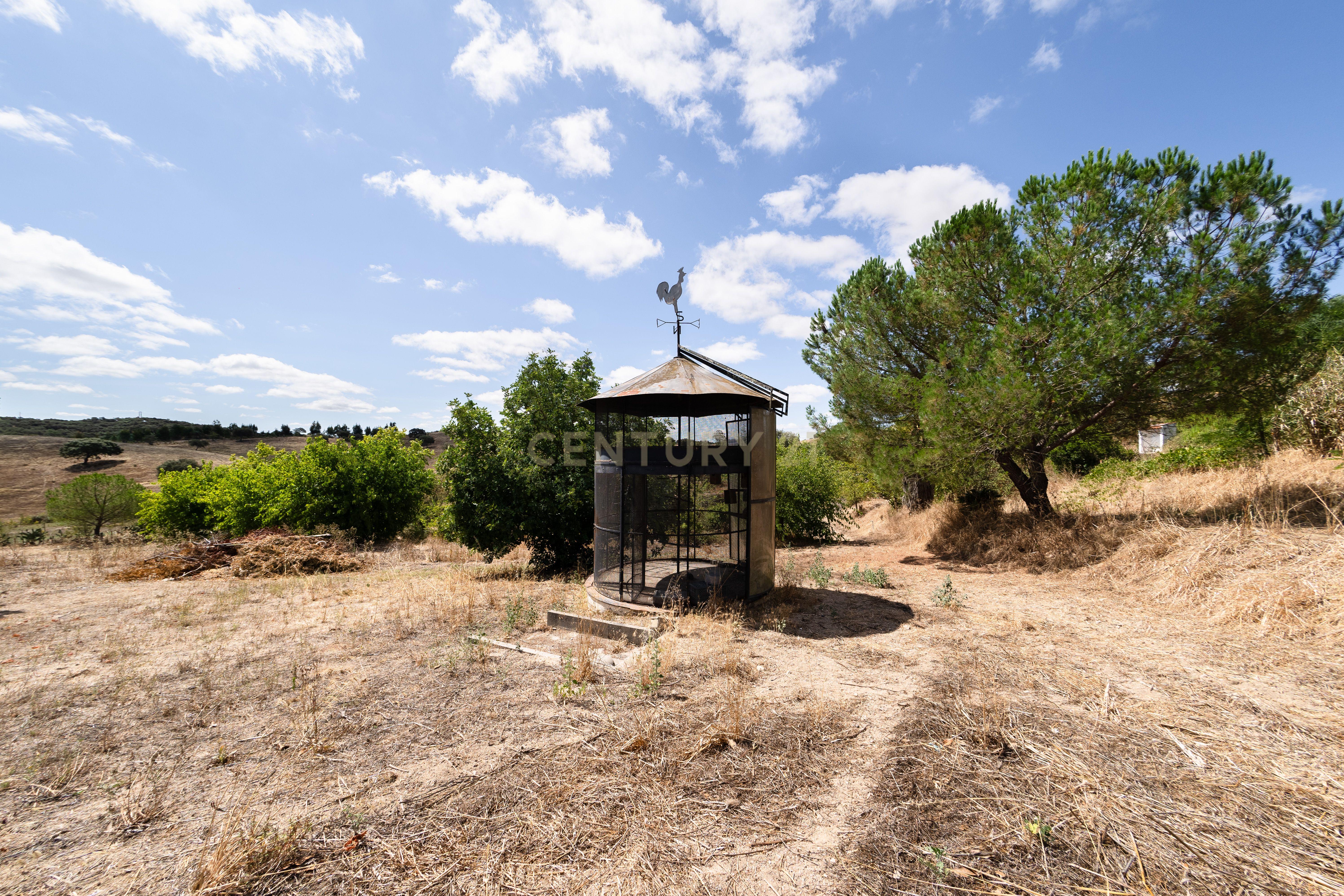 QUINTA EM MONTEMOR-O-NOVO - Image 66