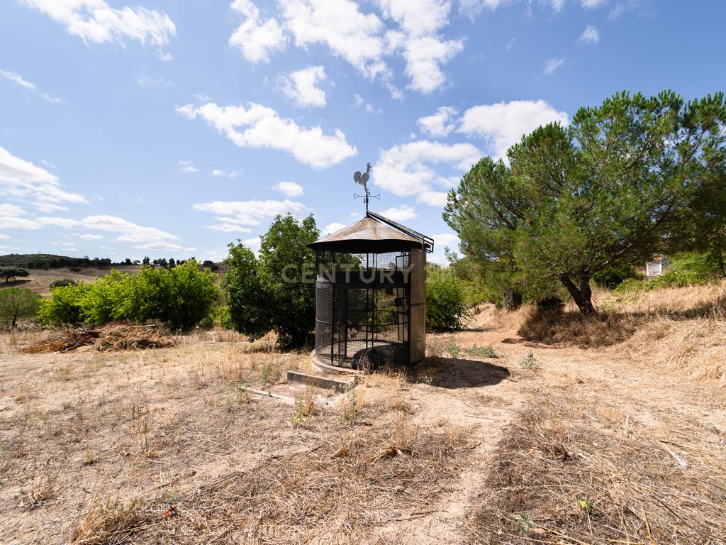 QUINTA EM MONTEMOR-O-NOVO - Image 66