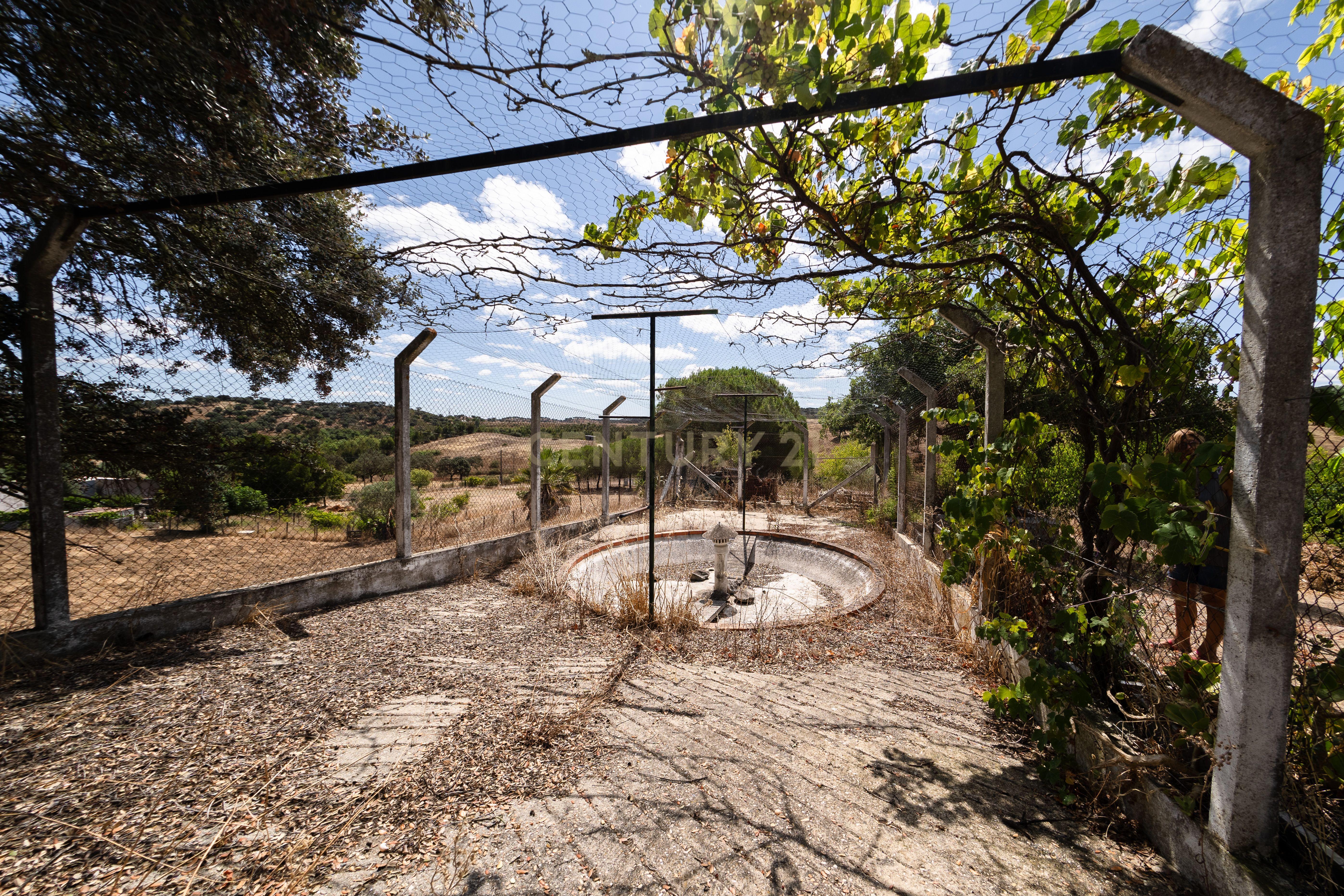 QUINTA EM MONTEMOR-O-NOVO - Image 69