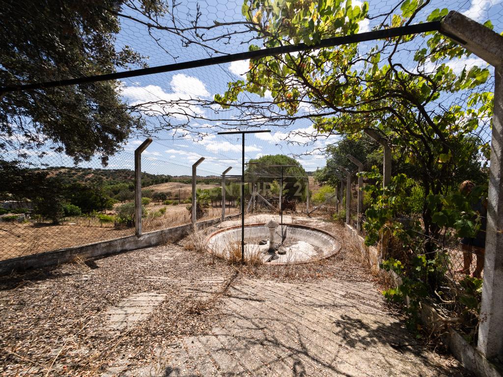 QUINTA EM MONTEMOR-O-NOVO - Image 69