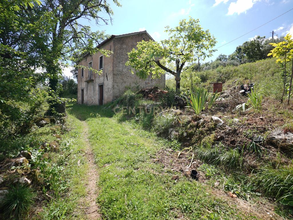 Casa de pedra com terreno junto de riacho - Penela - Image 6
