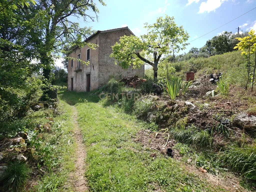 Casa de pedra com terreno junto de riacho - Penela - Image 6