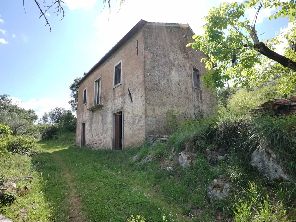 Casa de pedra com terreno junto de riacho - Penela - Image 1