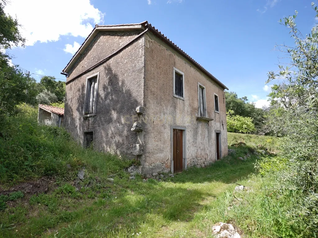 Casa de pedra com terreno junto de riacho - Penela - Image 3