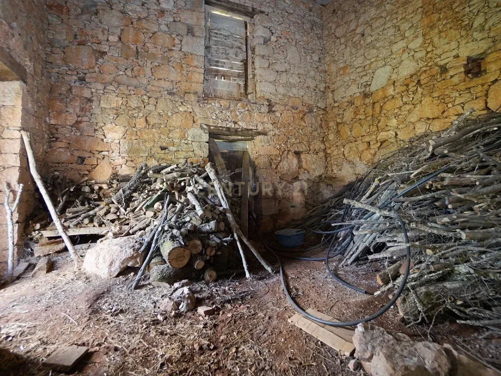 Casa de pedra com terreno junto de riacho - Penela - Image 4