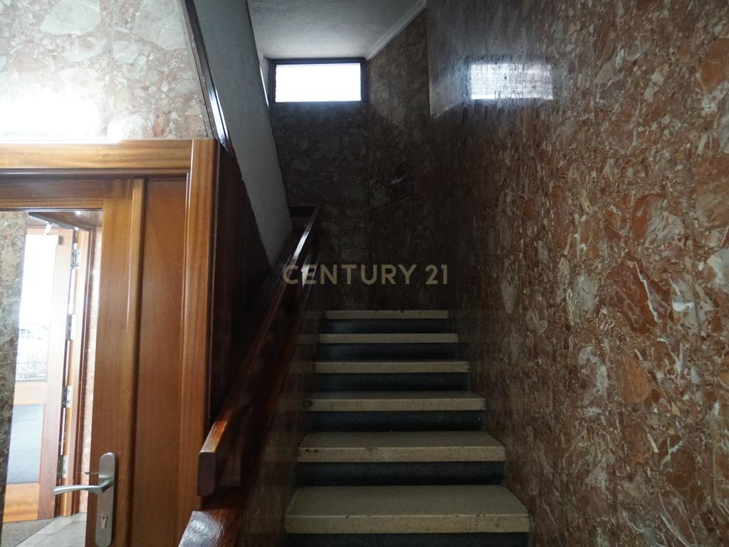 undefined - Image 7