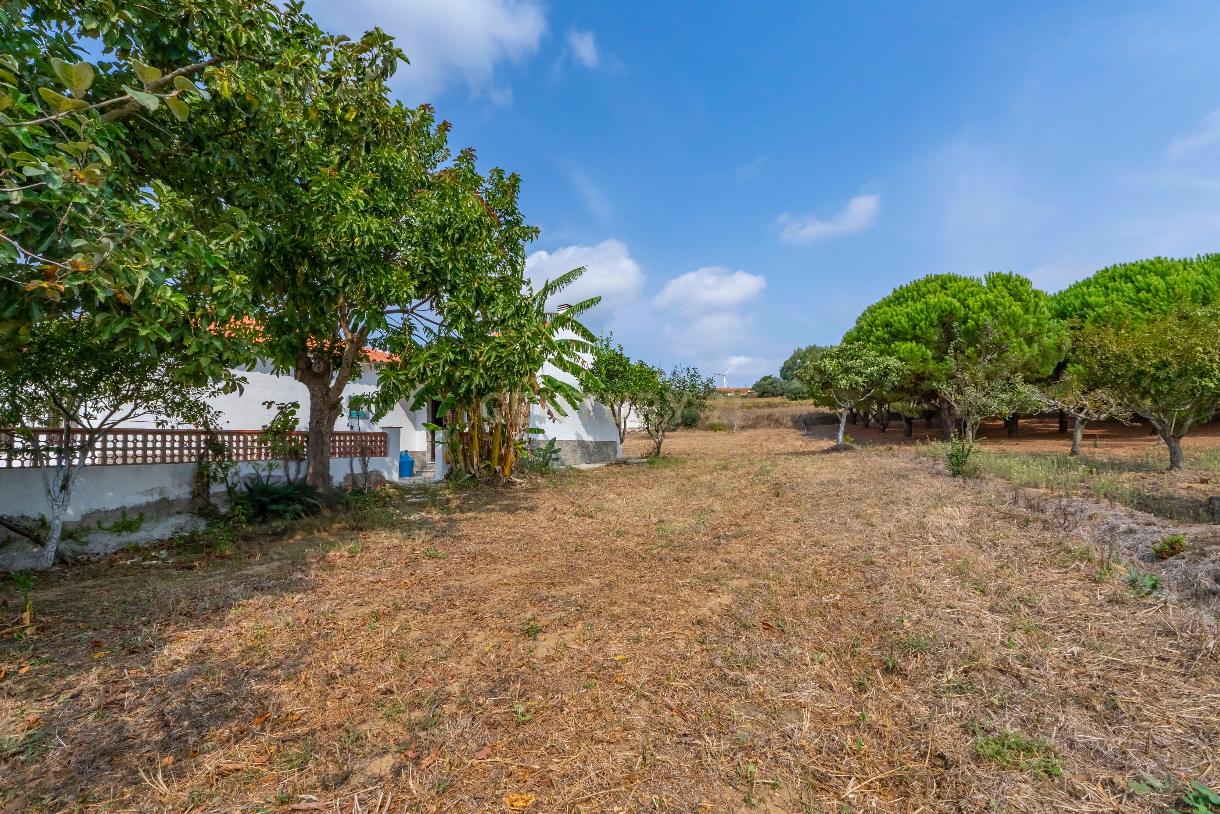 Moradia com Amplo Terreno em Alenquer - Oportunidade Única! - Image 36