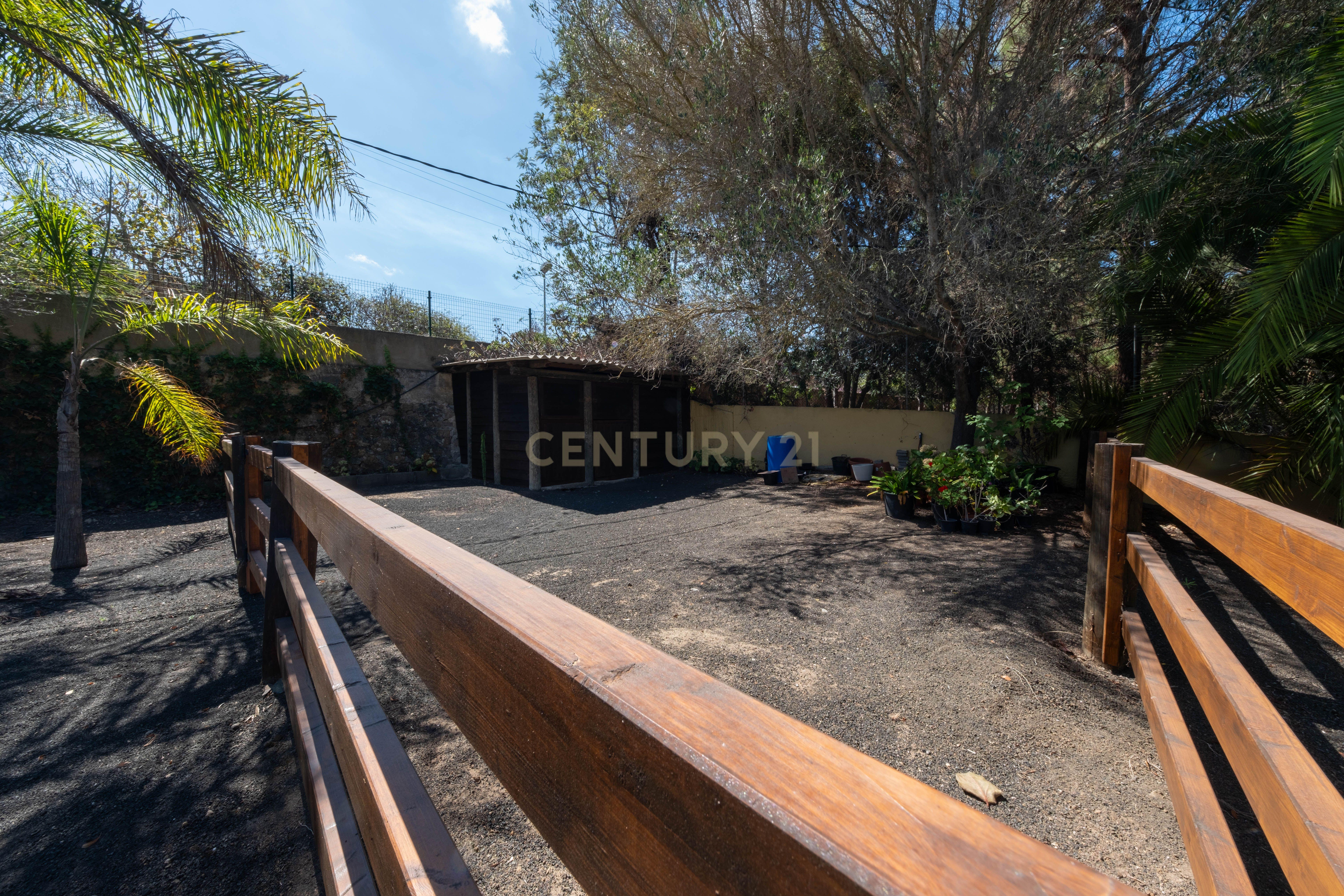 undefined - Image 63