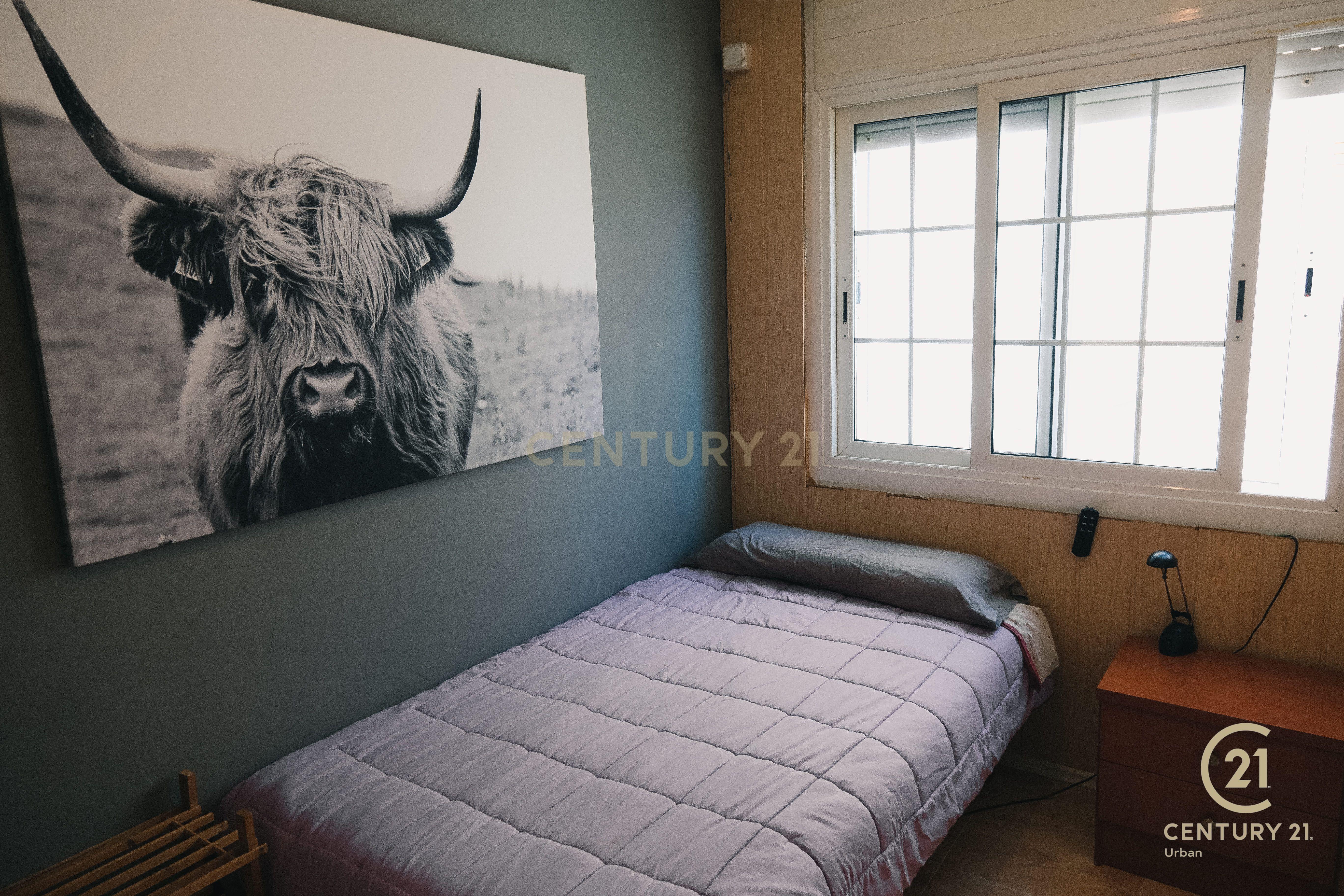 undefined - Image 15